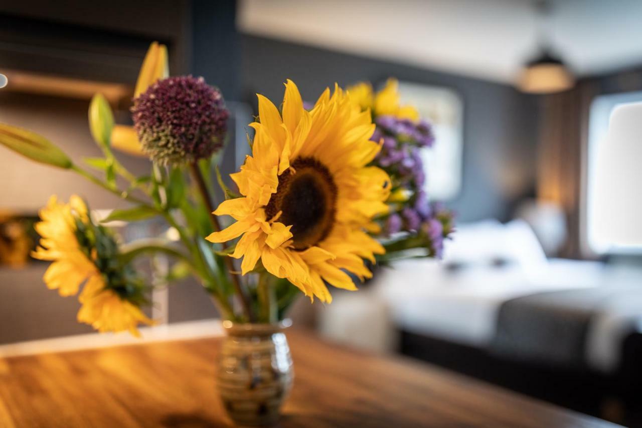 Storr Apartments พอทรี ภายนอก รูปภาพ